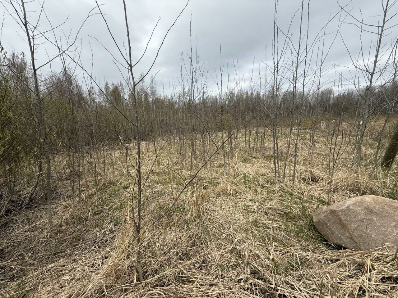 Продажа земли Коробицыно кп, пос. Коробицыно, проезд Небесный