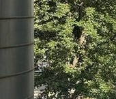 Продать Квартиры вторичка улица Грузинский Вал, 26С1   