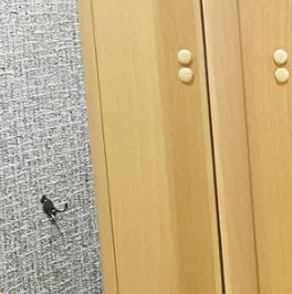 Продажа 2-комн квартиры на вторичном рынке улица Софьи Ковалевской, 15К1 Продажа 2-комн квартиры на вторичном рынке улица Софьи Ковалевской, 15К1