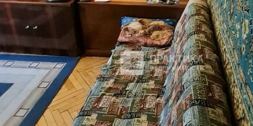 2-комн квартира 11-я Парковая улица, 26А