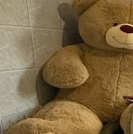 Продажа дома Пушкин, Заозерное СНТ