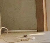 Продать Квартиры вторичка улица 1-я Машиностроения, 10   