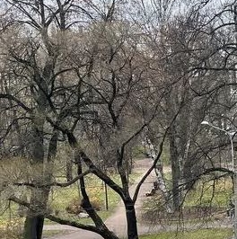 Продажа студии Сердобольская улица, 7