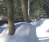 Продать Земельные участки, земля Полянский массив местность   