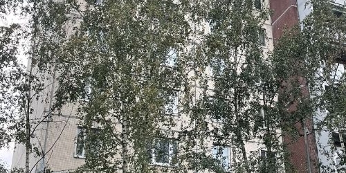 1-комн квартира Рыбацкий проспект, 51К1