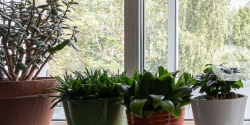 3-комн квартира улица Шевченко, 29