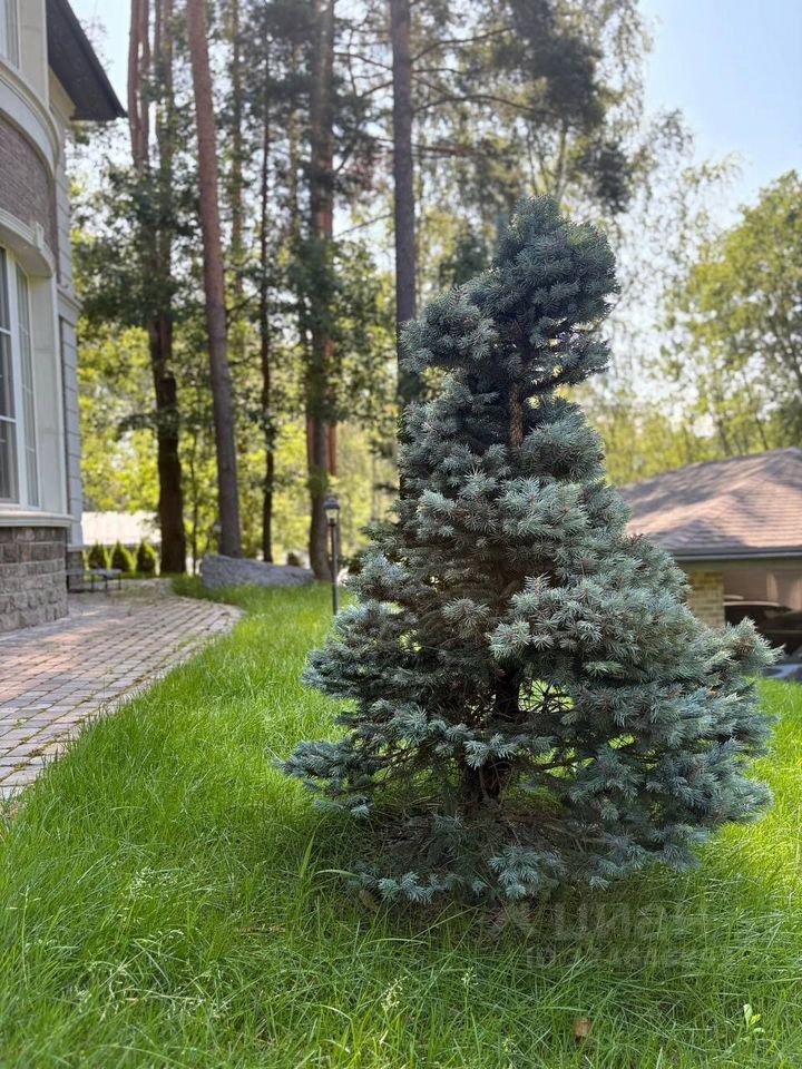 Продажа дома Янтарный Бор кп, д. Кирполье
