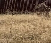 Продать Земельные участки, земля д. Пухолово, улица Зеленая, 6   