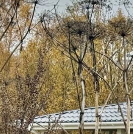 Продажа дома улица 6-я Удачная,  д. 8