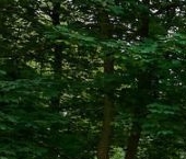 Продать Квартиры вторичка Сергиев Посад, Клубная улица, 5   