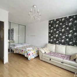 Продажа 1-комн квартиры на вторичном рынке Московский пр-кт,  д. 207