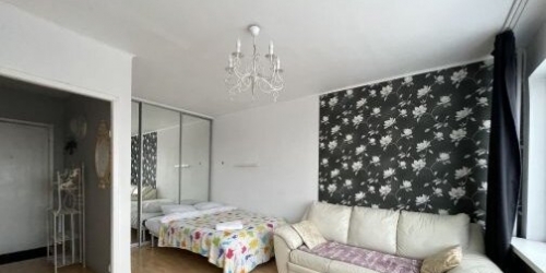 1-комн квартира Московский пр-кт,  д. 207