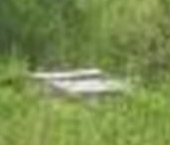 Продать Земельные участки, земля пос. Петро-Славянка, Красноармейское СНТ, 27А   