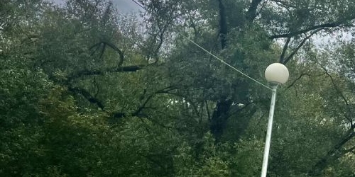 3-комн квартира Кастанаевская улица, 66