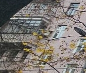 Продать Квартиры вторичка улица Алабяна, 10К2   