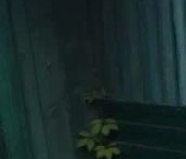 Продать Дачи, коттеджи, загородные дома Красницы садоводческий массив, Электросила-7 садоводческое товарищество  150 