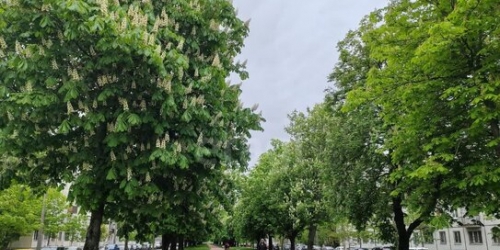 2-комн квартира ул Гранитная,  д. 50