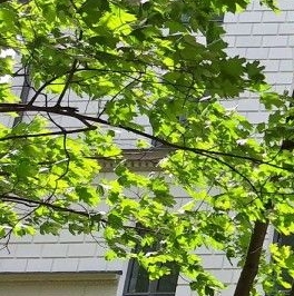 Продажа 2-комн квартиры на вторичном рынке Зеленогорская улица, 3 Продажа 2-комн квартиры на вторичном рынке Зеленогорская улица, 3