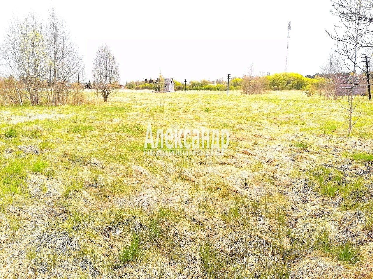 Продажа земли Особый статус - Ромашки кп, пос. Ромашки