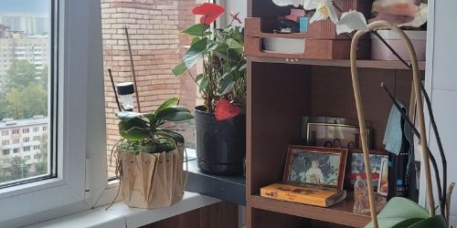 Комната улица Ольги Форш, 7К2