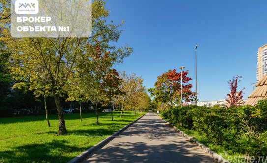 Продажа 1-комн квартиры на вторичном рынке Турку ул,  д. 11,  к. 1