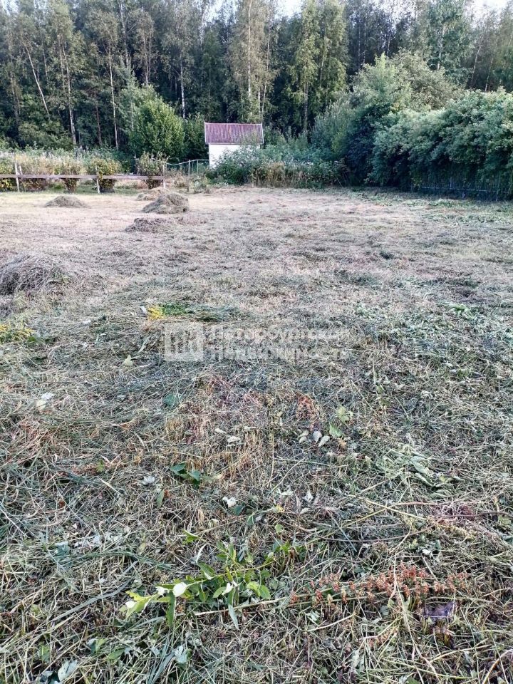 Продажа земли Новая Ладога, Нептун СНТ, улица Центральная, 308