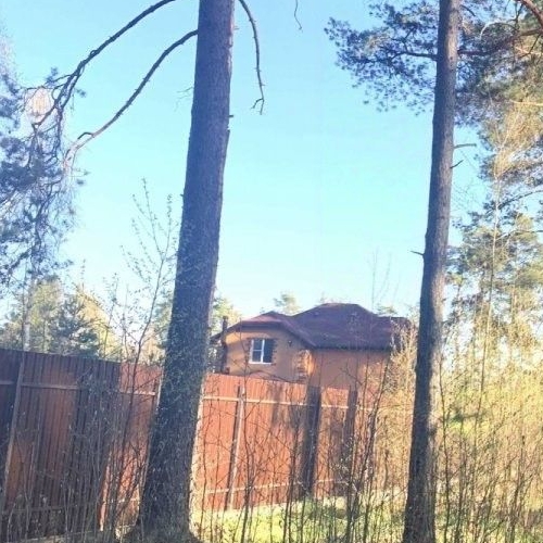 Коттедж/дом Вырица городской поселок, переулок Еленинский