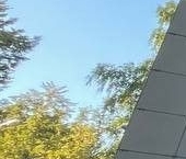 Продать Квартиры вторичка Ивантеевка, Оранжерейная улица  17 