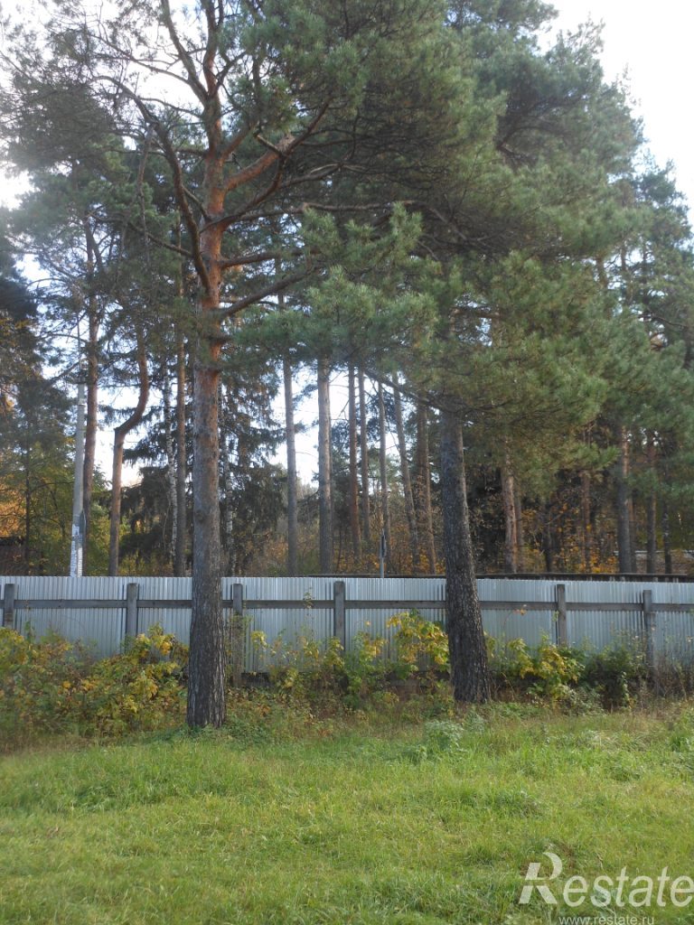 Продажа земли угол между Малаховка дп, Люберецкий р-н и Калинина ул, Малаховка дп, Люберецкий р-н,  д. 8