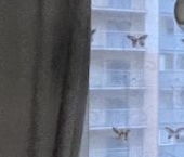 Продать Квартиры вторичка Гжатская улица, 22к3   