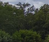 Продать Квартиры вторичка Коломна, улица Ленина, 79   