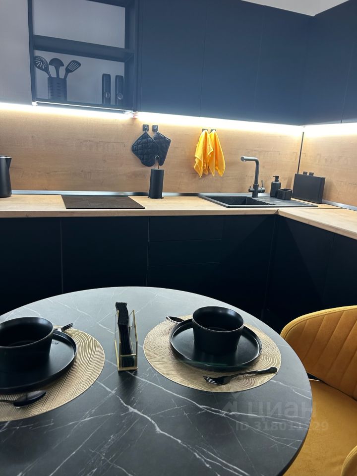 Аренда студии Мурино, проспект Авиаторов Балтики, 25