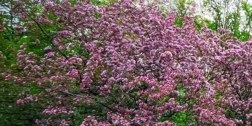 3-комн квартира Миусская площадь, 5