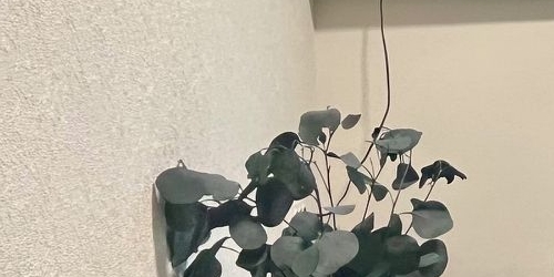 2-комн квартира проспект Ударников, 43К3