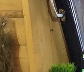 Продать Квартиры вторичка 2-й Вольный переулок, 11   