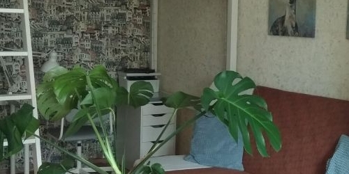 1-комн квартира Кронштадт, улица Юрия Инге, 11