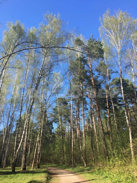 1-комн квартира Октябрьский, улица 60 лет Победы,  д. 1