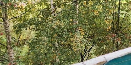 1-комн квартира улица Шаврова, 7К1