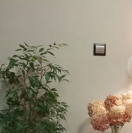 Продажа дома Шагрово кп, улица Есенина,  д. 18