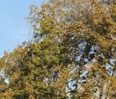 Продать Квартиры вторичка Туристская улица, 19К4   