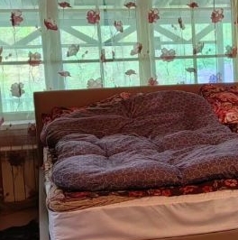 Продажа дома д. Шепелево, улица Сосновая