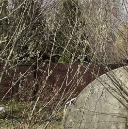 Продажа земли дорога В Рыбацкое, 8 Продажа земли дорога В Рыбацкое, 8