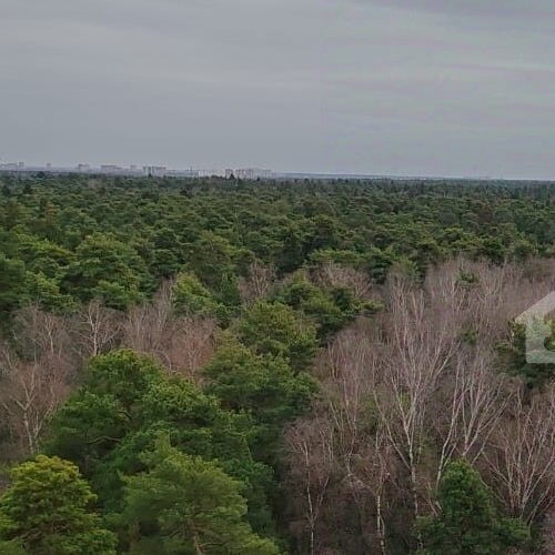 3-комн квартира Ивантеевка, Центральный проезд,  д. 17