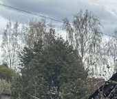 Продать Дачи, коттеджи, загородные дома Кобрино садоводческий массив, Мелиоратор СНТ  69 