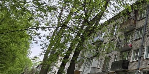 1-комн квартира Павловск, Березовая улица, 8