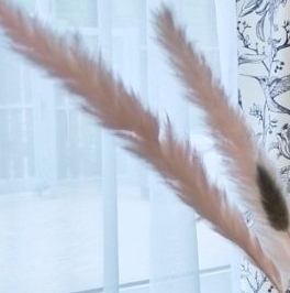 Продажа дома пос. Пески, улица Балтийская, 4 Продажа дома пос. Пески, улица Балтийская, 4