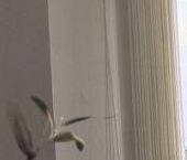 Продать Квартиры вторичка Одинград квартал Семейный ЖК, Одинцово  5 