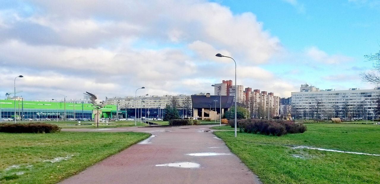 Продажа 1-комн квартиры на вторичном рынке проспект Просвещения, 53К1