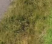 Продать Земельные участки, земля улица Радостная   