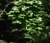 Продать Квартиры вторичка Ивантеевка, Школьная улица, 10б   